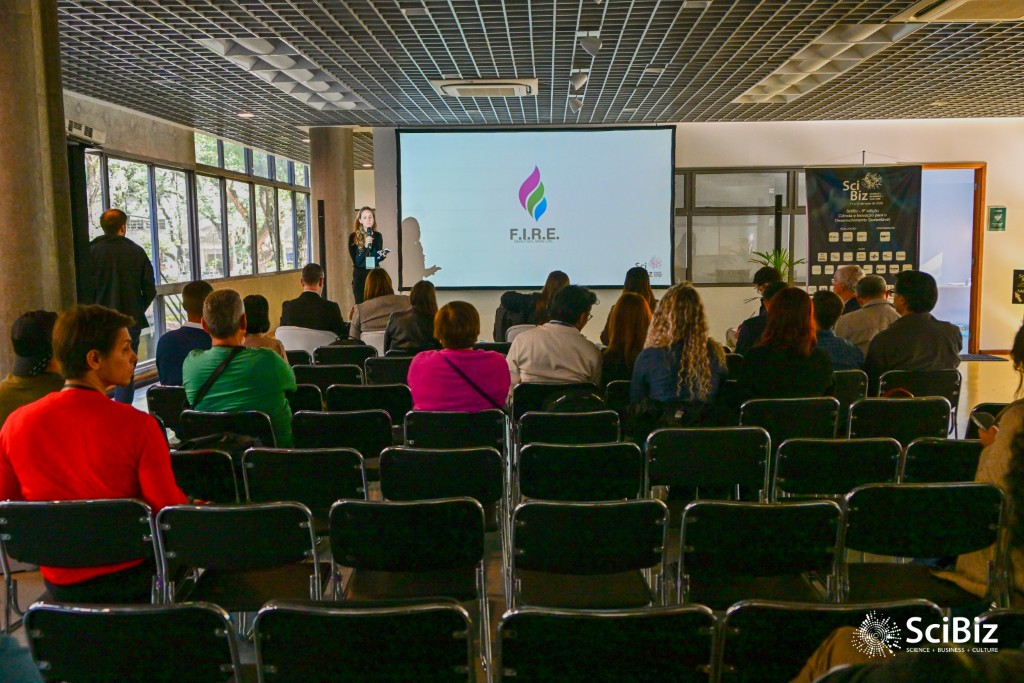 CDI Térreo –Startup Stage - foto 3